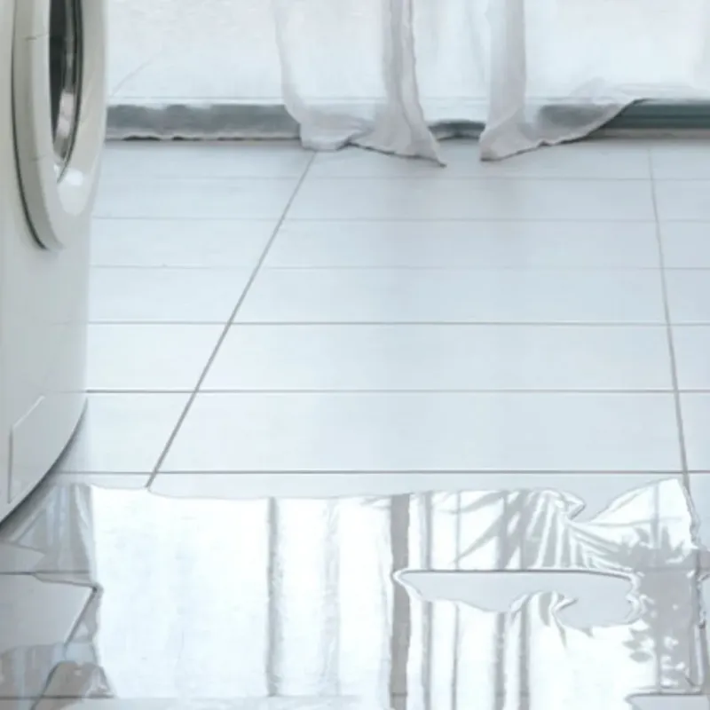 Appliance Leak Cleanup in Whitewater, WI