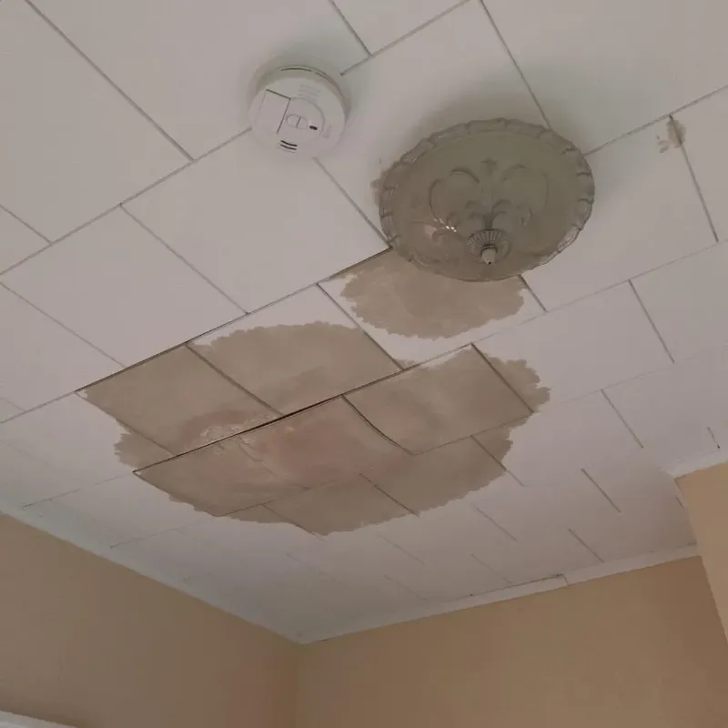 Ceiling Water Damage Repair in Whitewater, WI