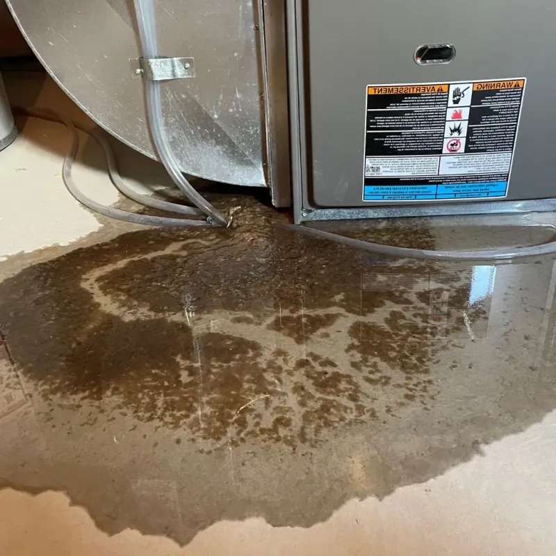 Pipe Burst and Leak Restoration in Whitewater, WI