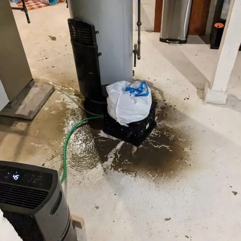 Sewage Backup Cleanup Service in Whitewater, WI